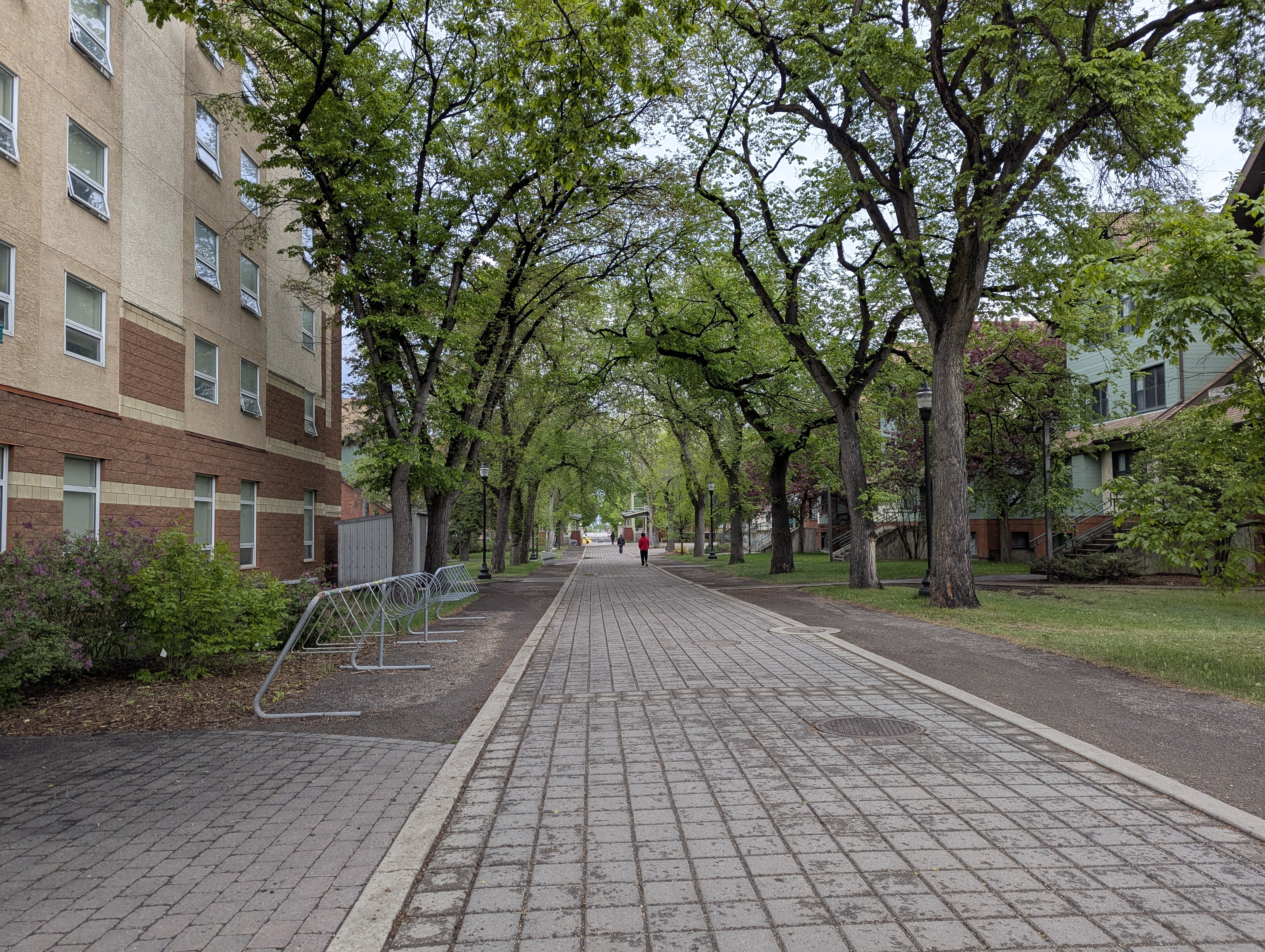 Birthday Trip to Canada, University of Alberta